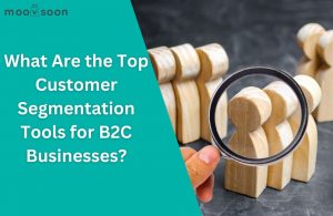 Top Customer Segmentation Tools for B2C Businesses